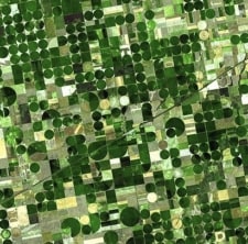 Kansas crops
